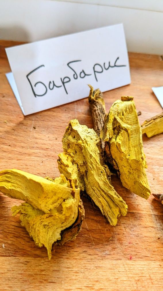 Корінь барбарису, оман, аїр , лепеха, девясил, кульбаба, цвіт бузиниз