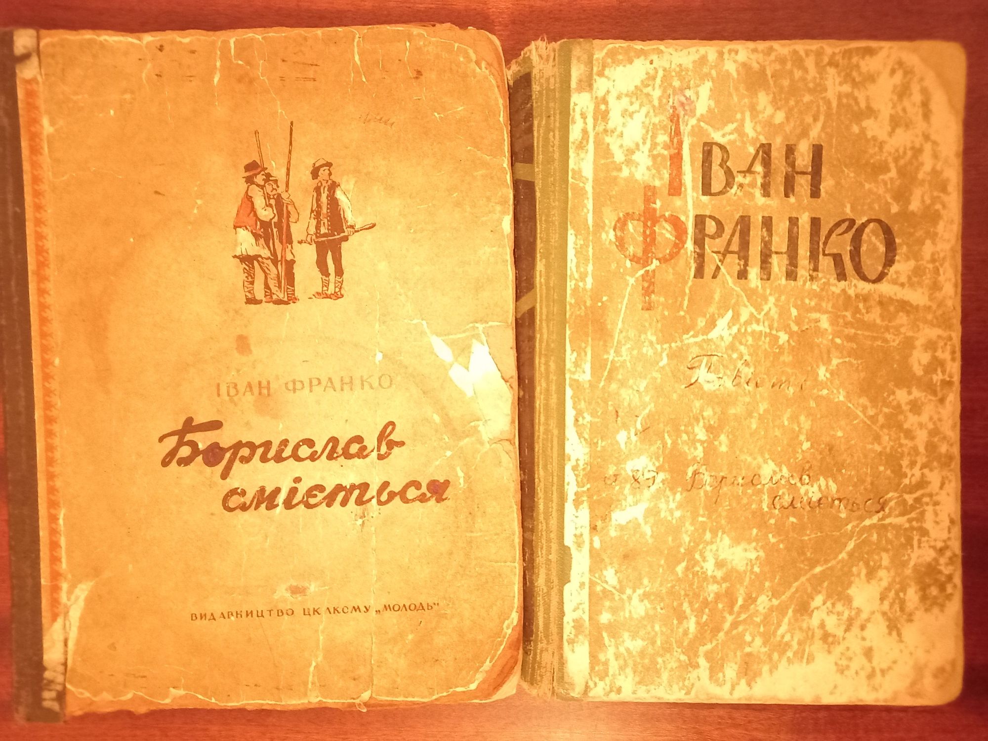 Книги  українських  письменників- класиків та інших