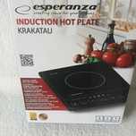 Induction Hot plate