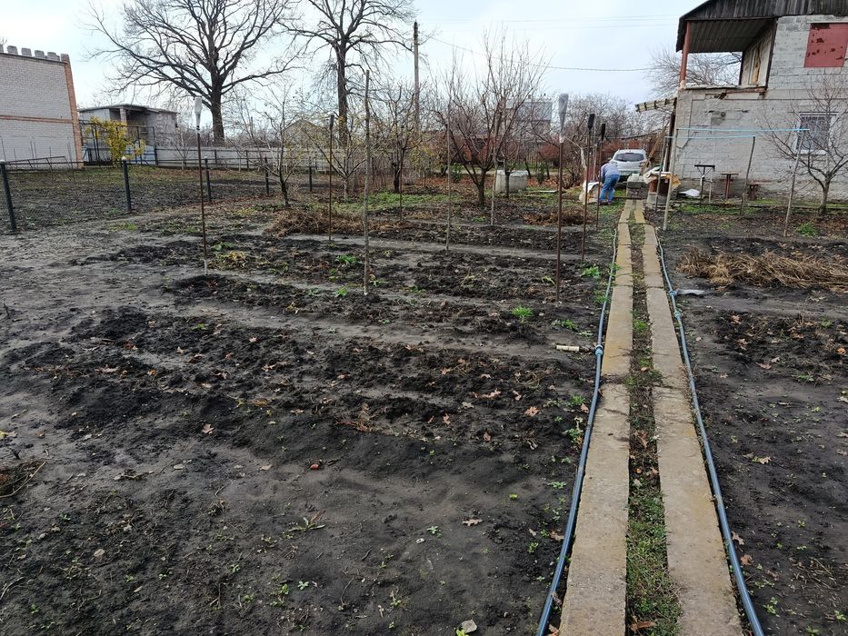 Дачный участок с огородом. Вольный посад