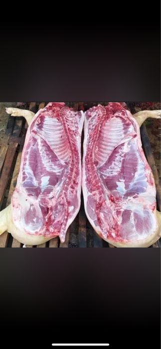 Продам домашнє мʼясо свинини
