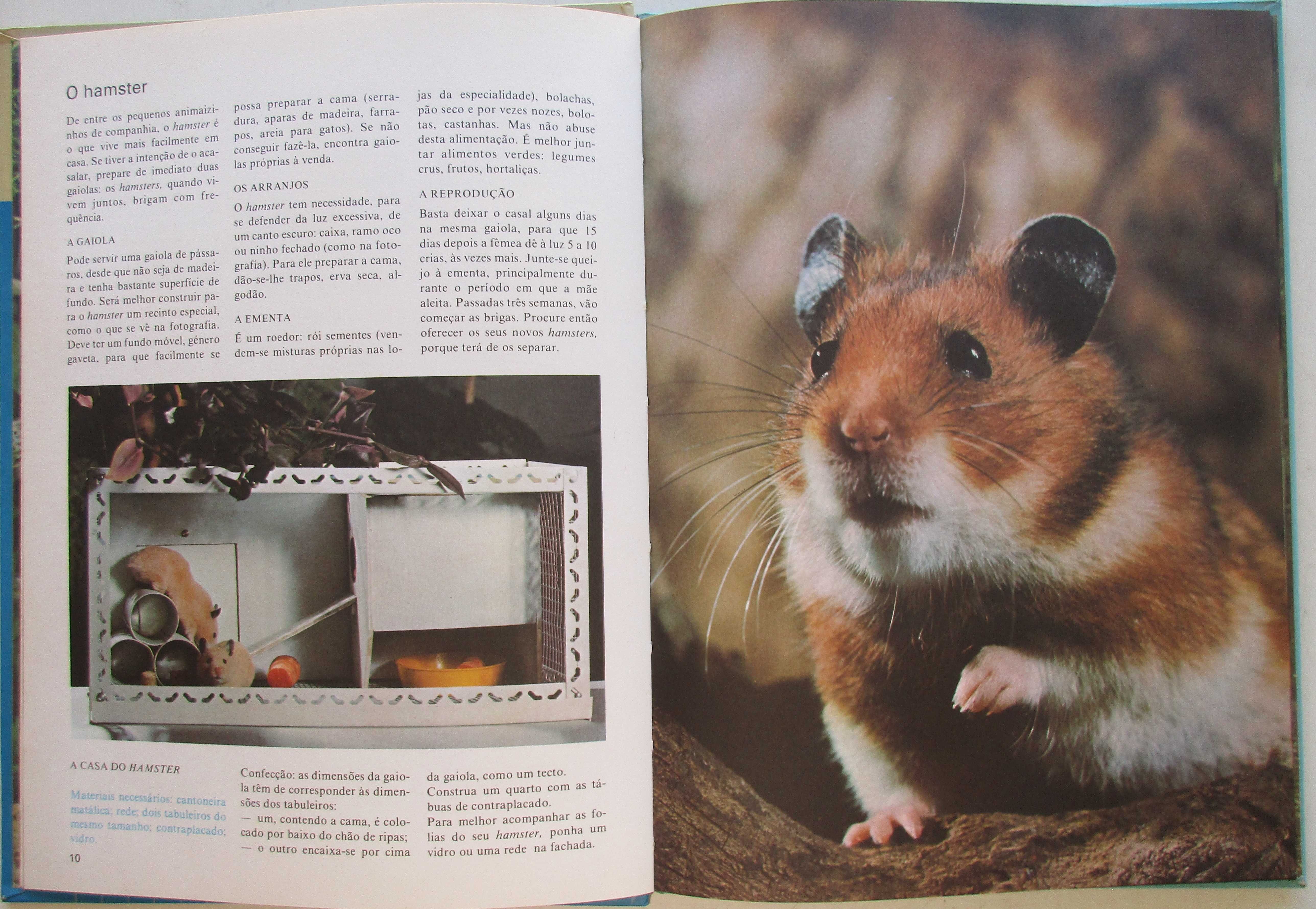 Marcel Everaere - - - Animais em Casa - - - - - Livro
