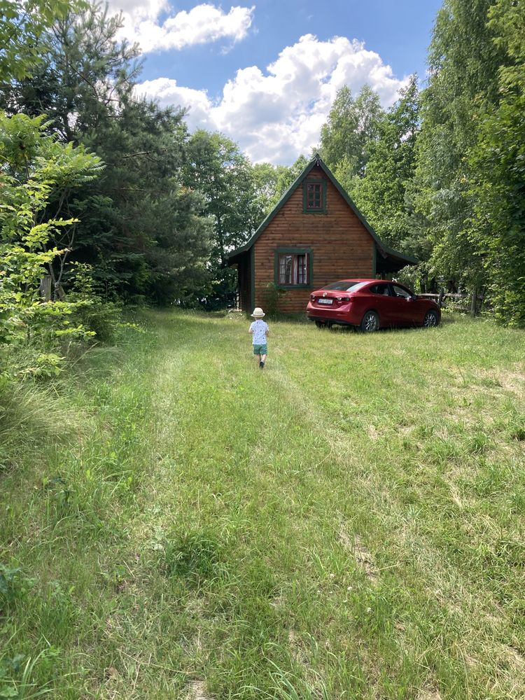 Domek nad jeziorem do wynajecia