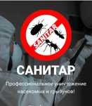 Уничтожение, травля, потравить тараканов, клопов,  мышей. Дезинфекция.