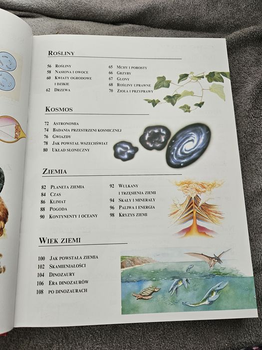 Szkolna encyklopedia Collins