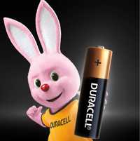 Лужні батарейки Duracell AA