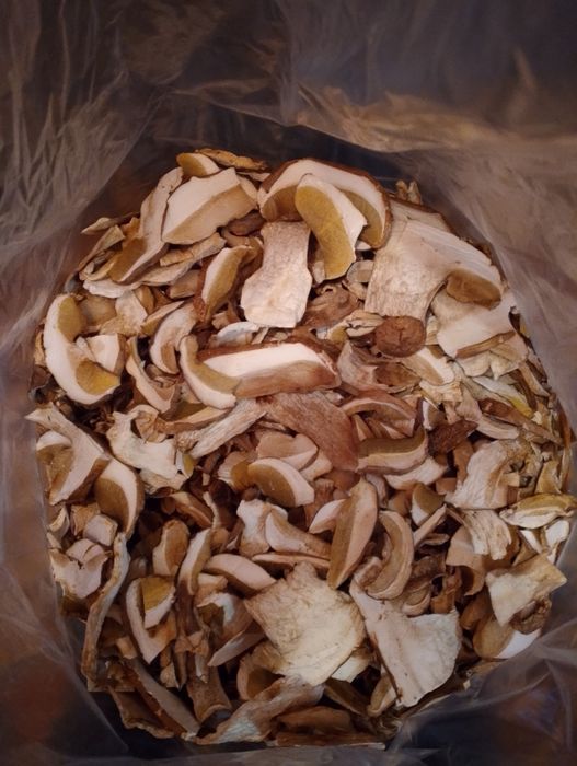 Продам хороший буковий гриб з Закарпаття.