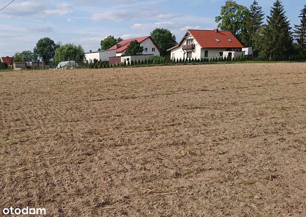 Działki budowlane Robakowo