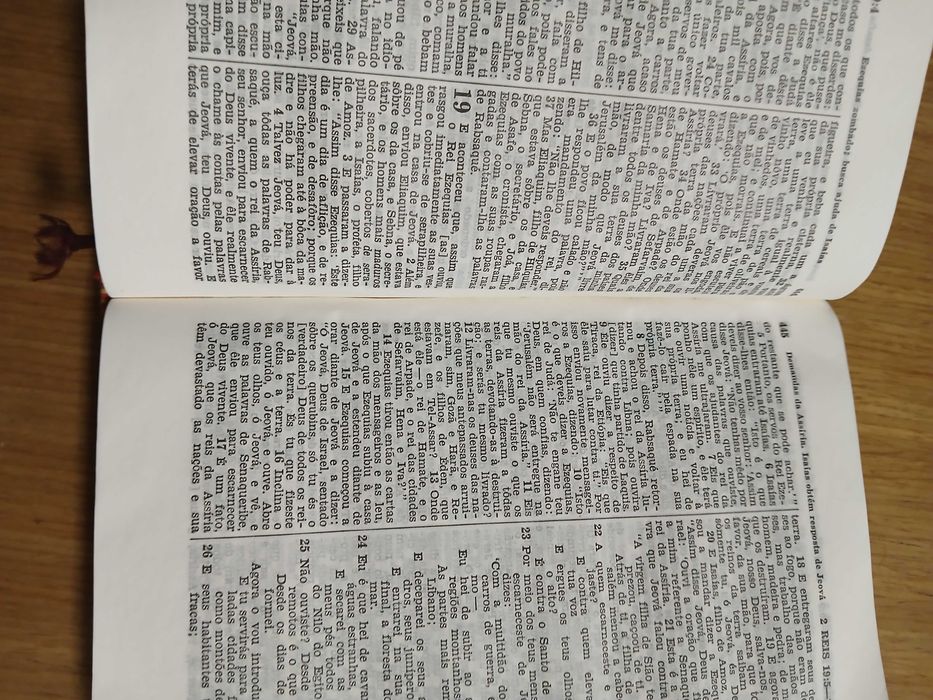 Tradução do Novo Mundo das Escrituras Sagradas (Edição Brasileira)