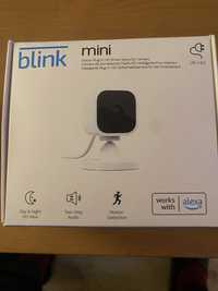 Kamera Blink mini