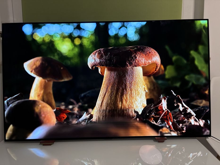Telewizor LG 55” OLED55B8PLA 4K HDR DOLBY VISION wifi bluetooth