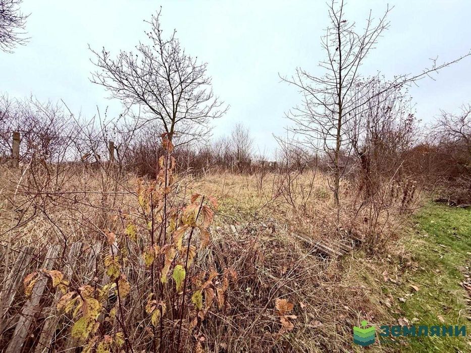 Продається дачна ділянка у с. Хриплин (7)