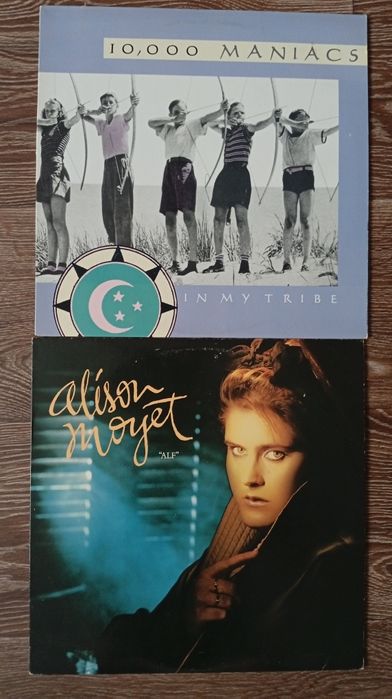 Вінілові платівки