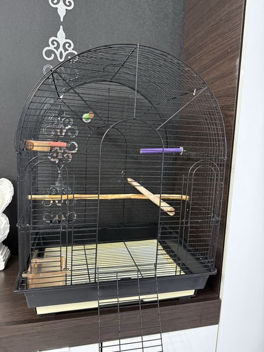 Клітка для папуги