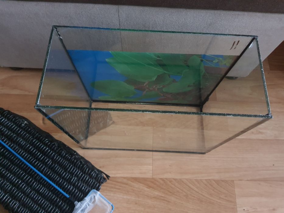 Маленький аквариум и сачок