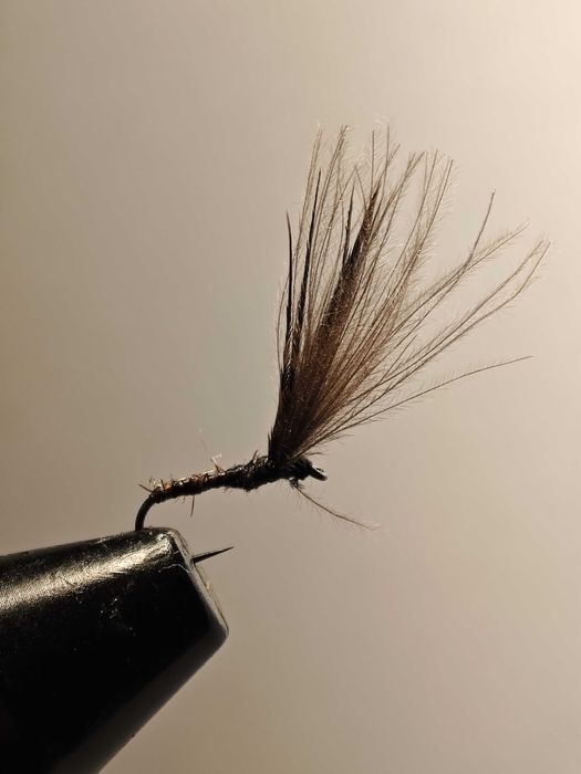 Muchy wędkarskie (muchy suche ,mokre i nimfy)