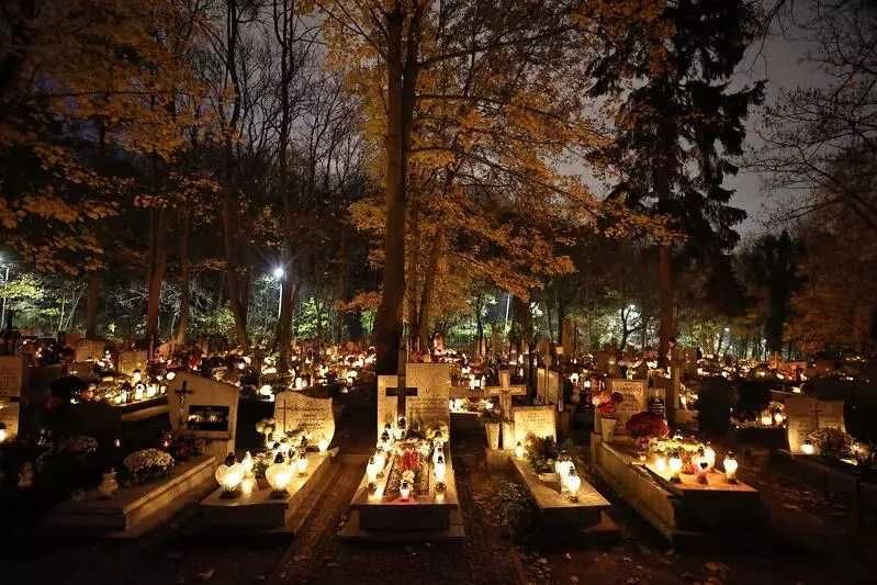 Sprzątanie, Mycie, IMmpregnacja NAGROBKÓW. Namysłów, Kępno, Oleśnica