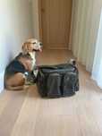 Torba karpiowa Nash Subterfuge Small