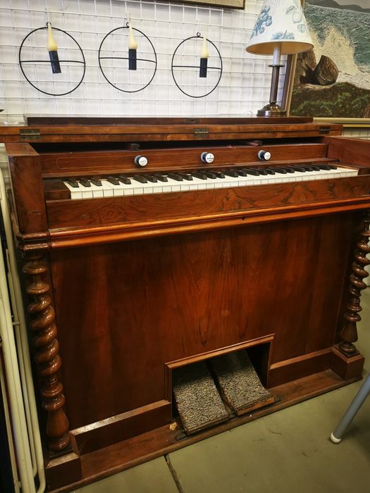 Fisharmonia do renowacji