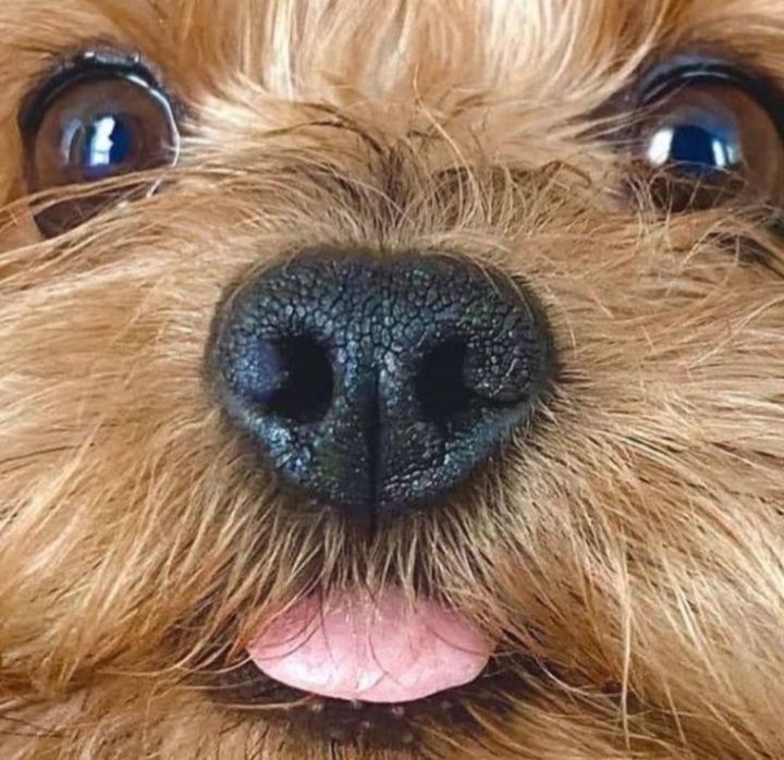 Празник в Вашем доме!  малыш