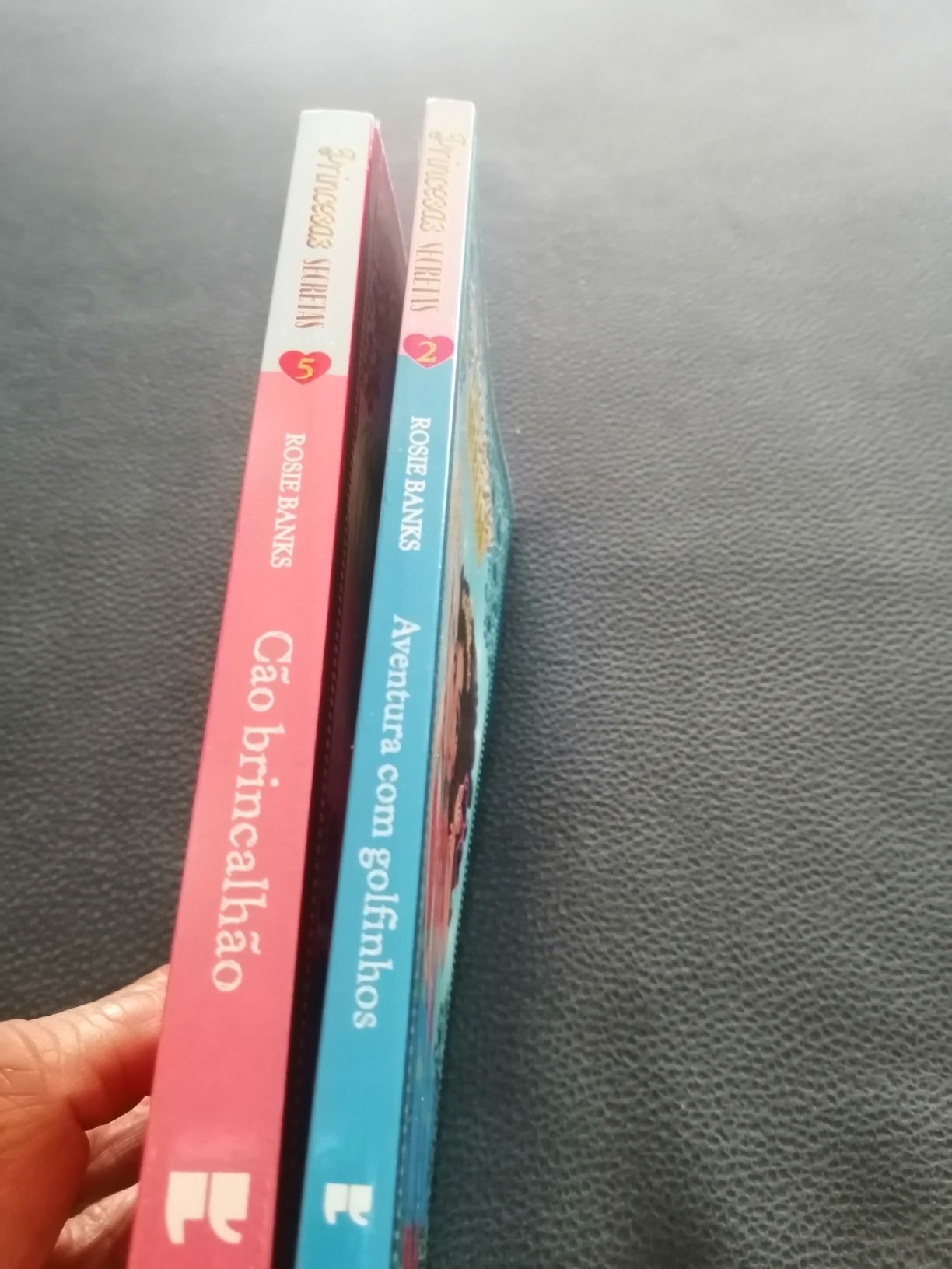 Dois livros de colecção princesas