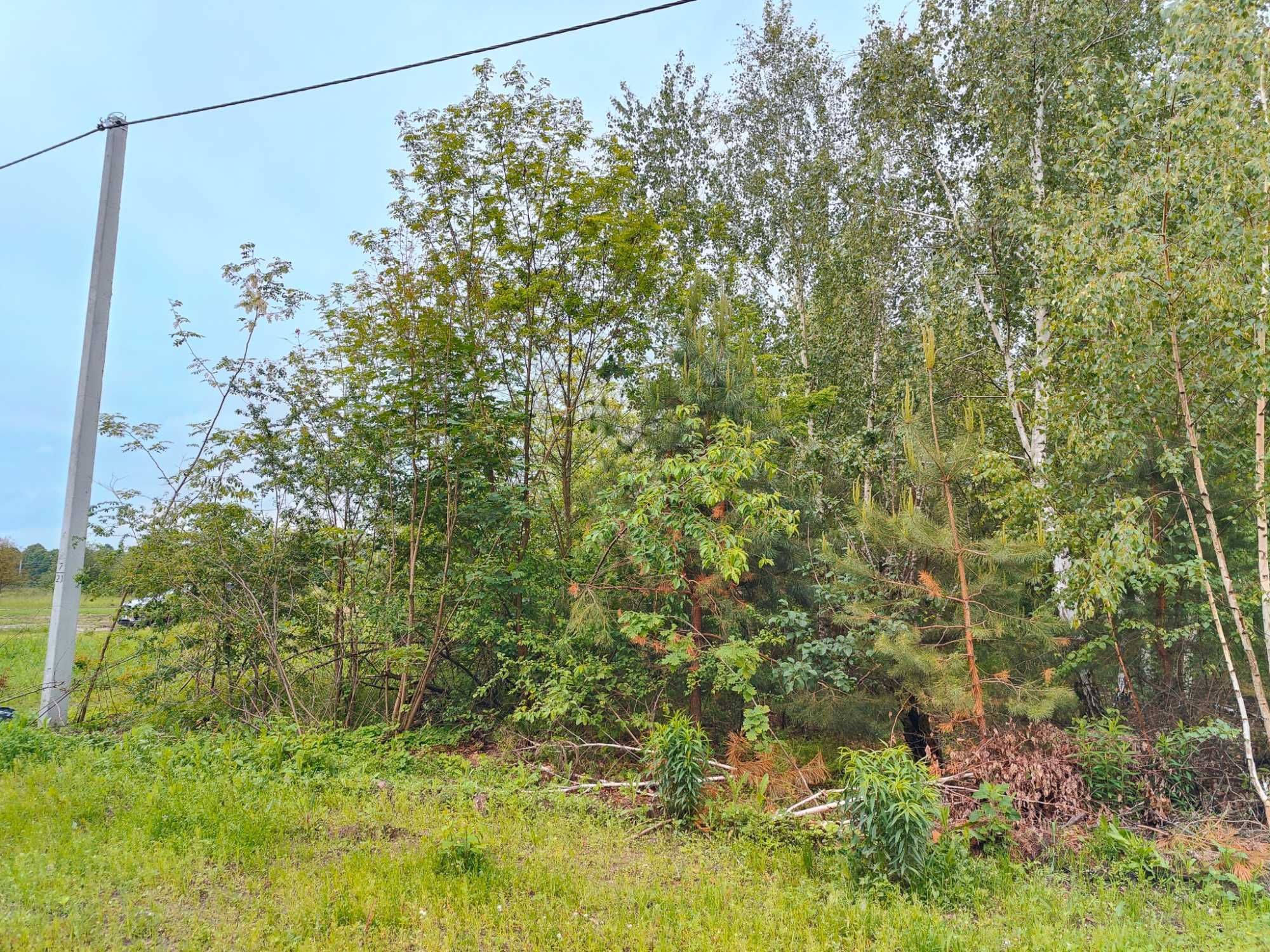ПРОДАЖ 15 соток в обжитому районі | ДМИТРІВКА