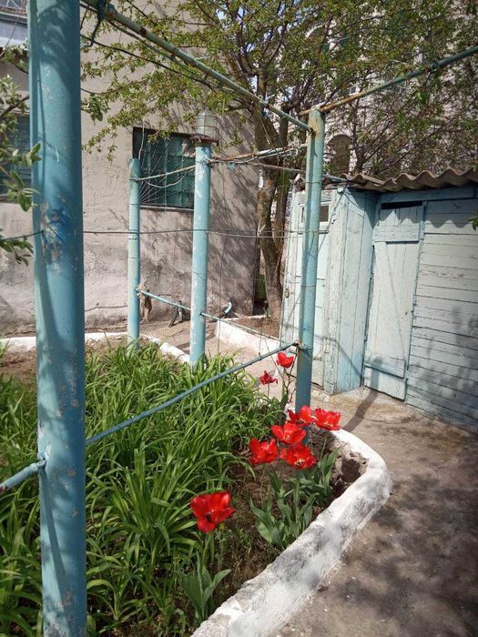 Продаж дачного будинку на березі Тилигульского лимана