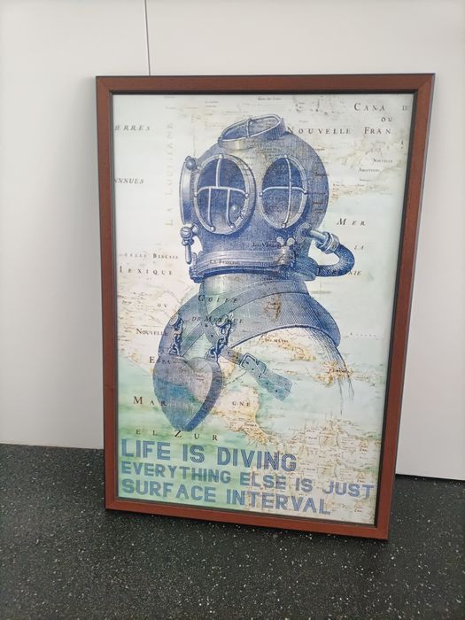 Vendo quadro de mergulho