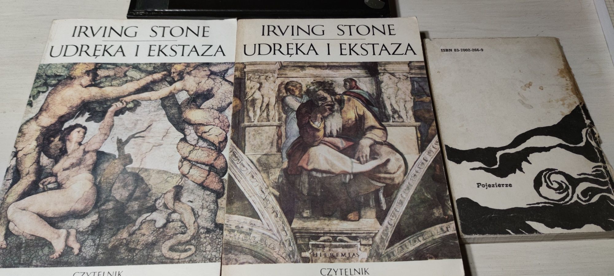 Biografia Michała anioła. Irving Stone. Udręka i ekstaza.