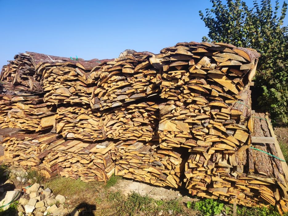 Opał oszasty sosnowe