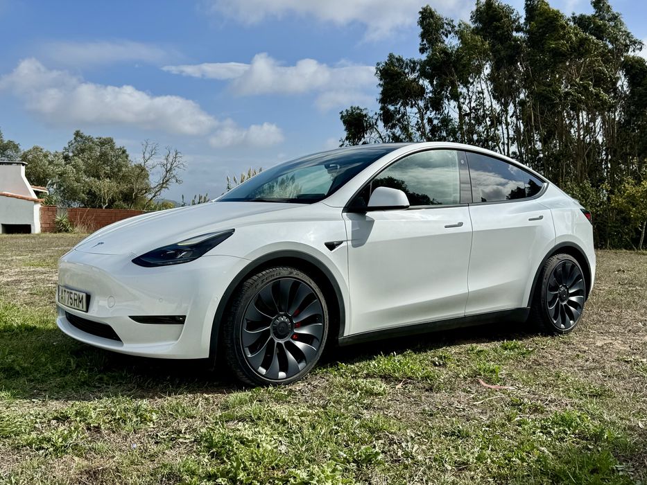 Tesla Y Performance