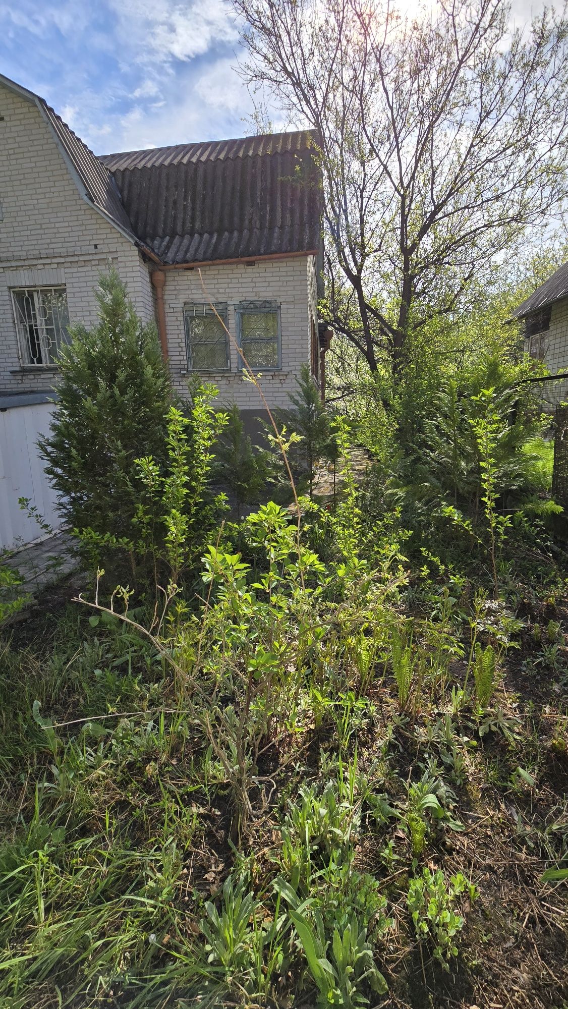 Продається будинок с.Таценки (Обухівський район) Київської області