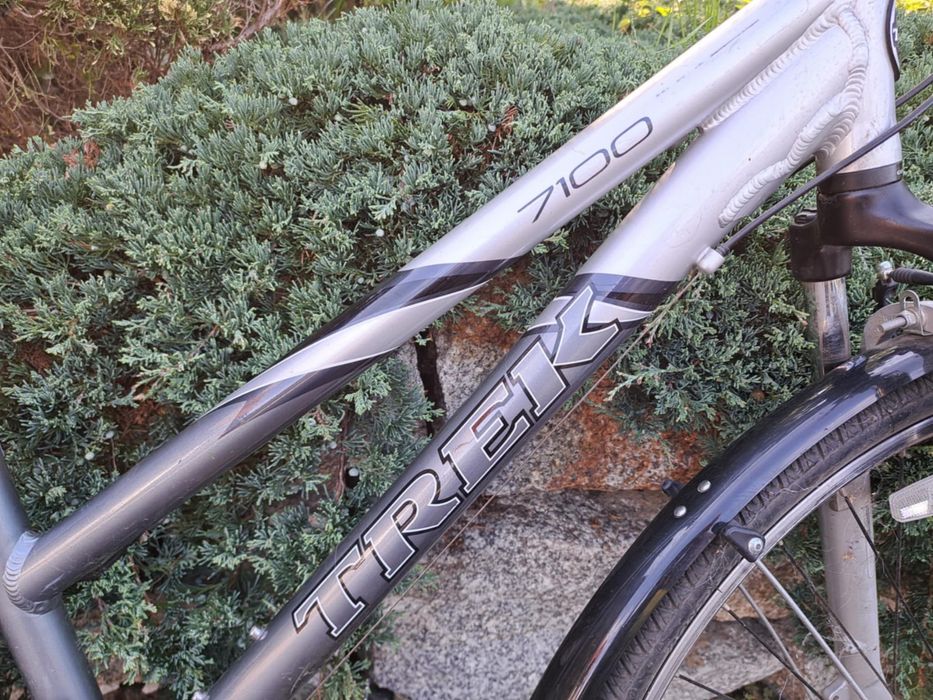 Rower damski Trek 7100