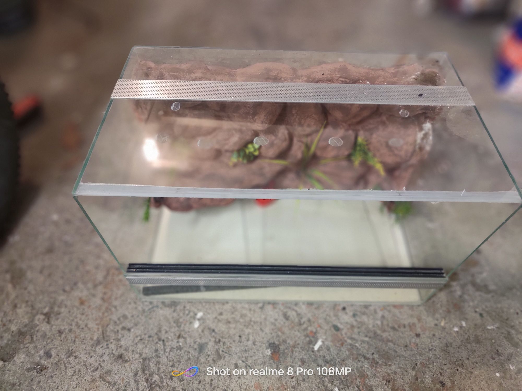 Akwarium terarium