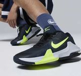 Кросівки баскетбольні чоловічі Nike DM1124-006, 42.5р.