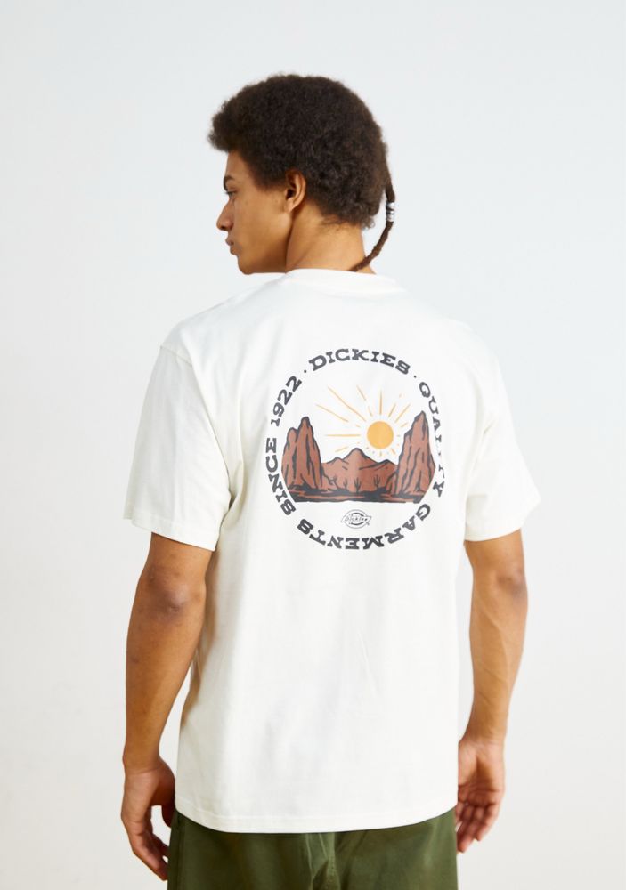 Футболка dickies  оригінал