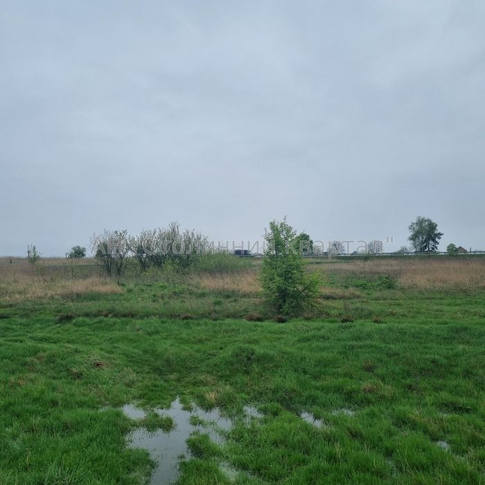 Продаж земельних ділянок в с. Микуличі, вул. Сонячна, Київська обл.