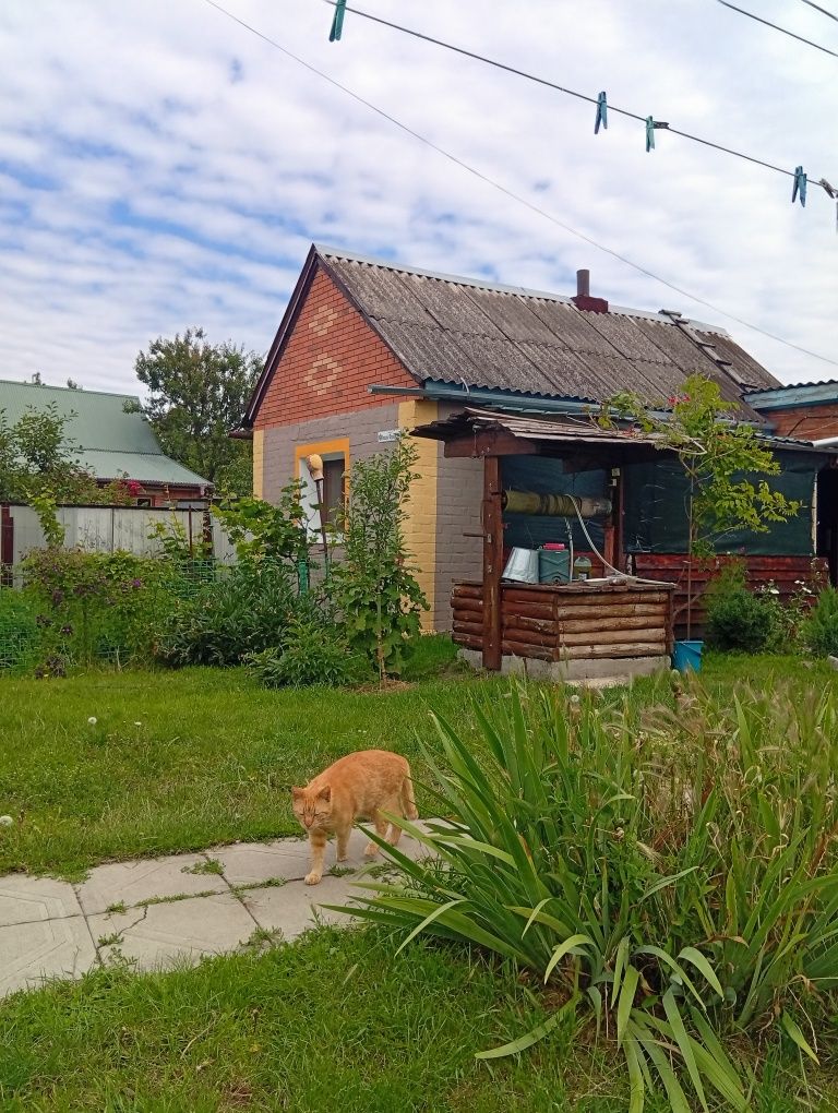 Жилье посуточно , сдам домик.