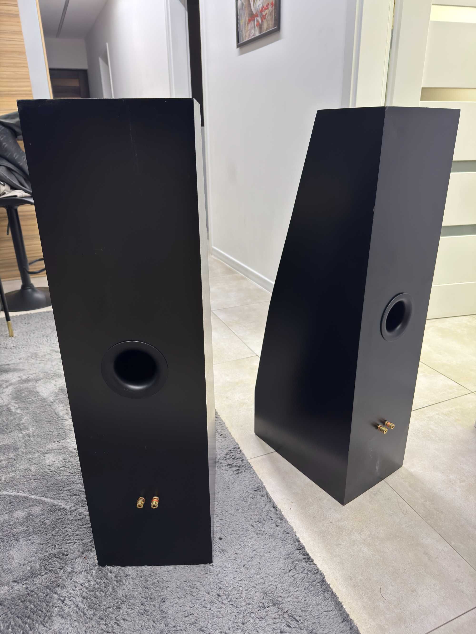 kolumny stereo sonus oliva,Scan Speak,peerless