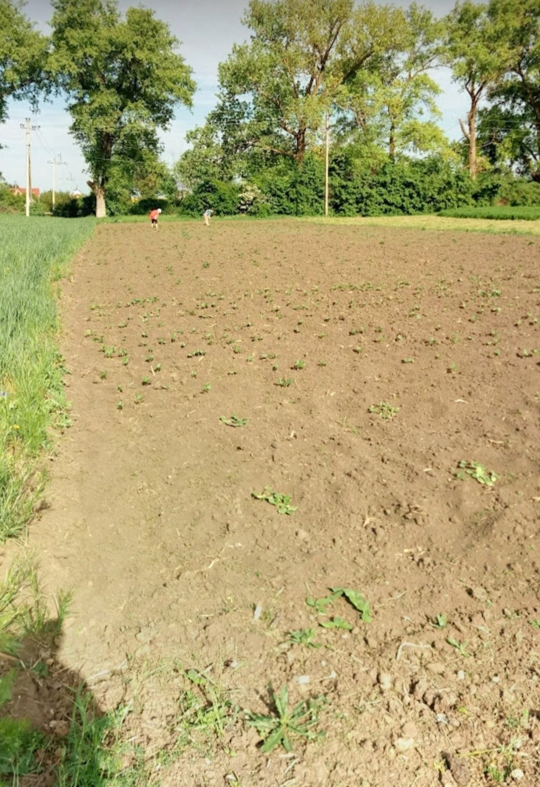 Земля 10соток під бізнес,забудову