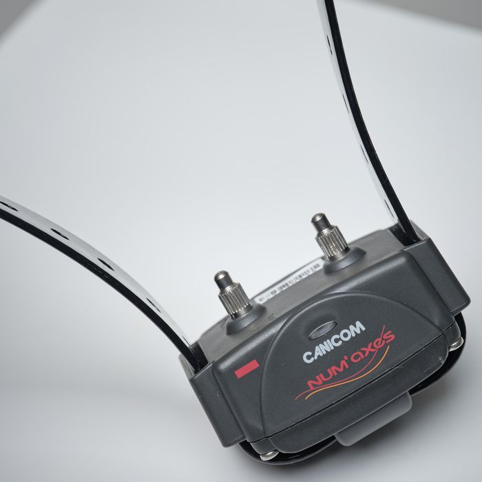 COLEIRA + TELECOMANDO DE ADESTRAMENTO PARA CÃO NUM'AXES CANICOM 800