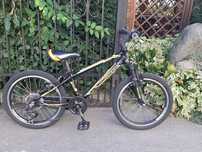Rower 20" TeamRaider