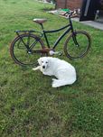 Rower retro 28 cali