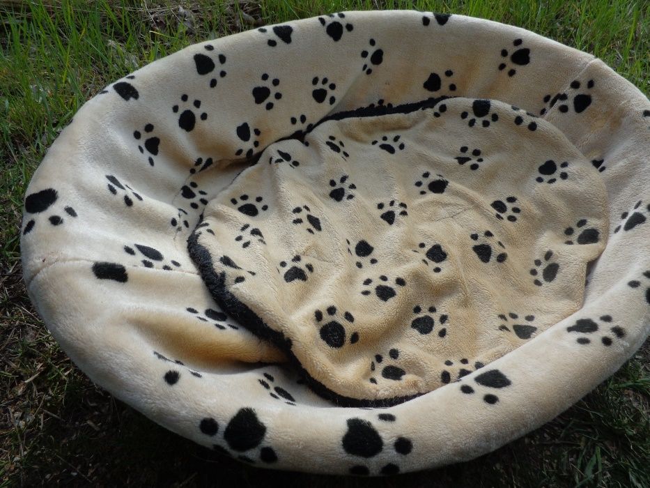 Duże spanie dla Psa