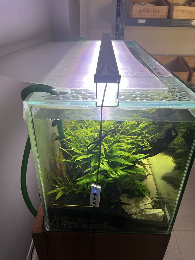 Aquario completo (215L)