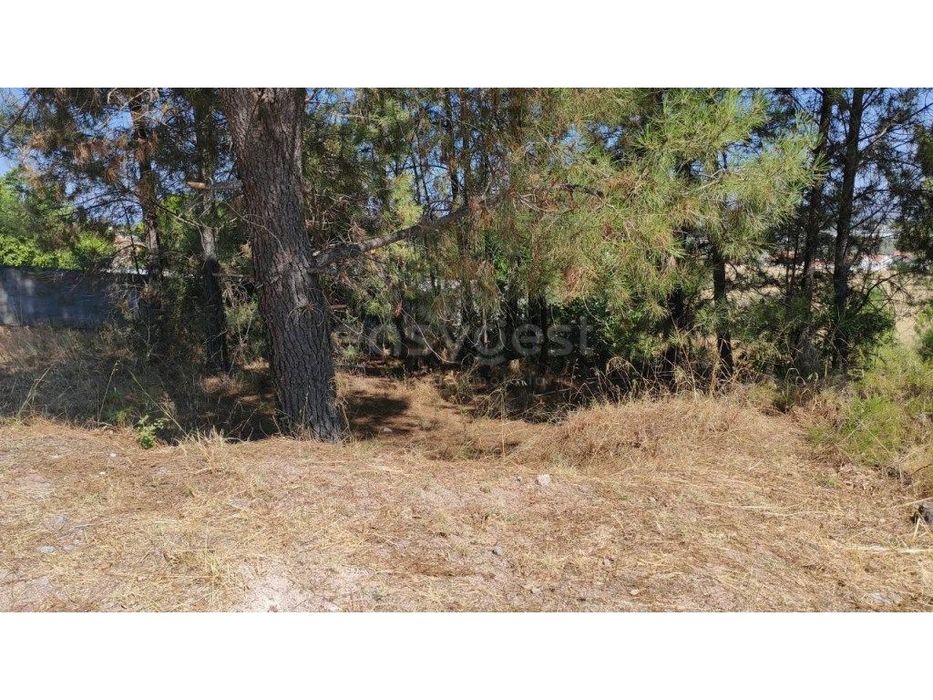 Lote para construção de moradia isolada perto da cidade de Torres N...
