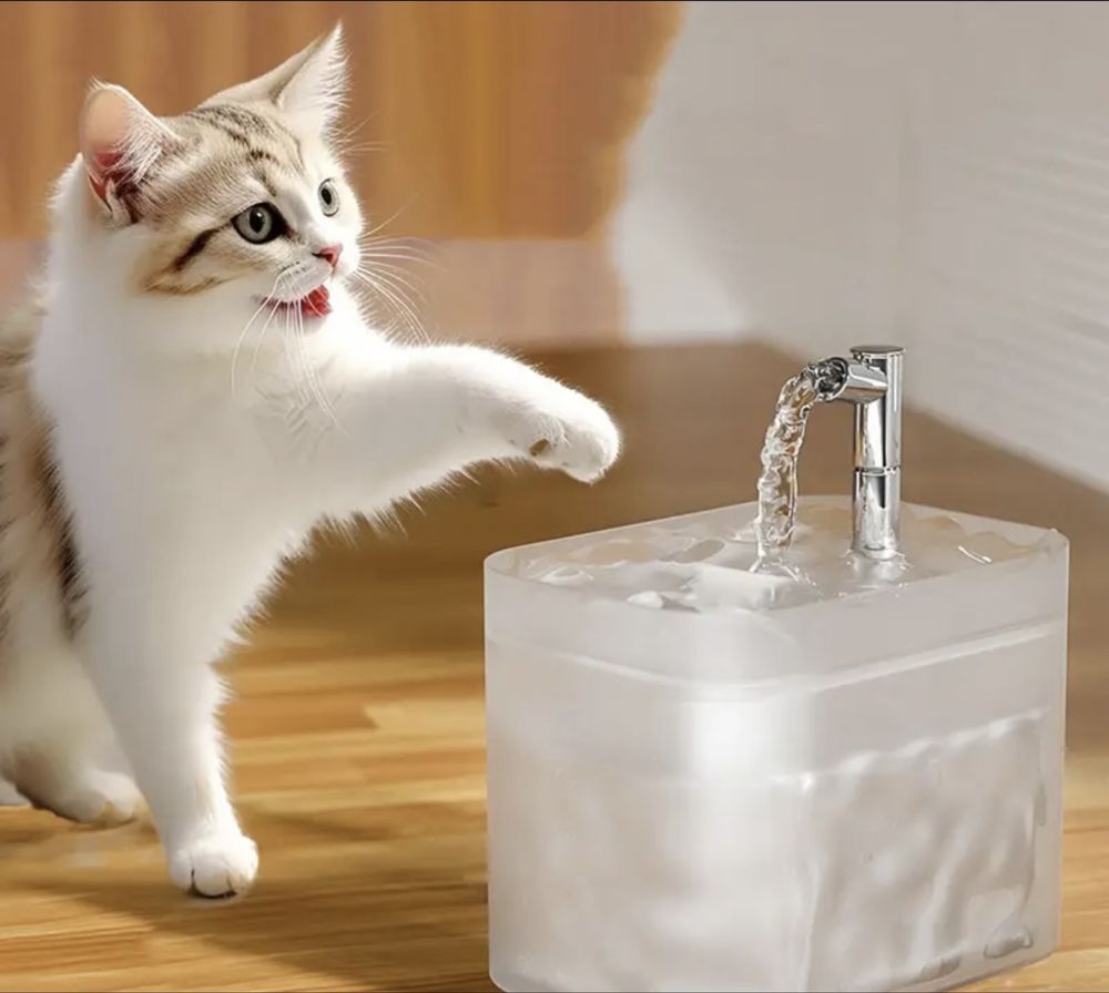 Фонтан для води для котів