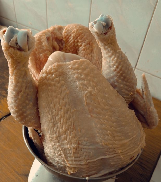 Brojlery wiejskie tanio