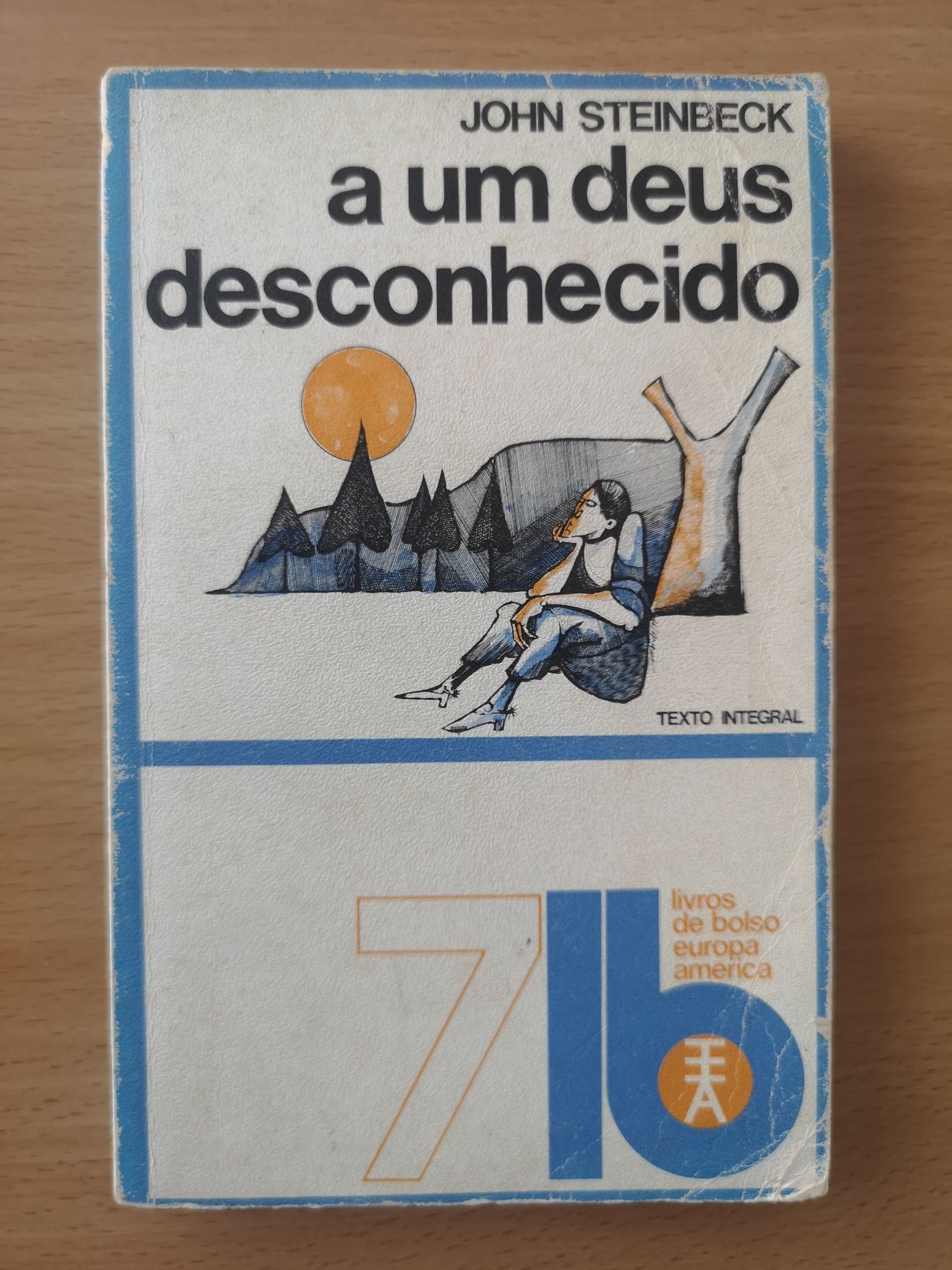 Livro - A um Deus desconhecido de John Steinbeck