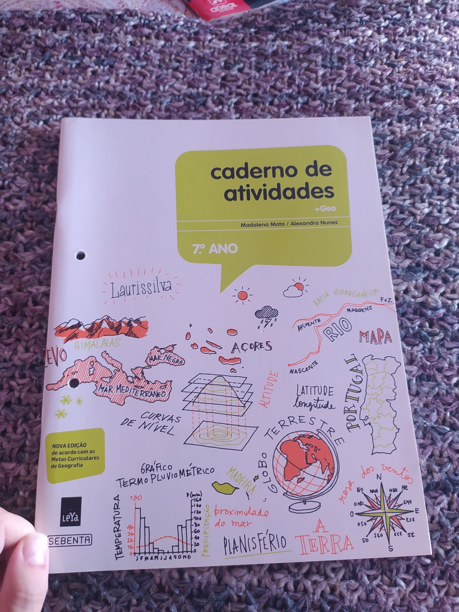 Cadernos de Atividades 7°ano